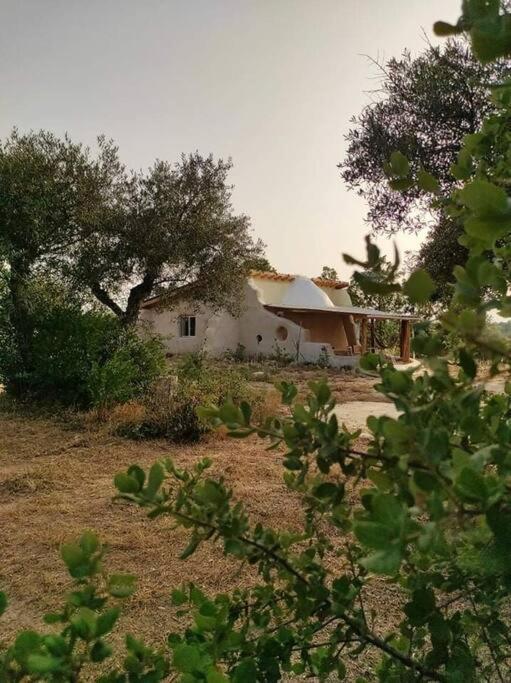 Quinta Terramadome: Dome Incomum & Responsavel Villa Пенамакор Екстериор снимка